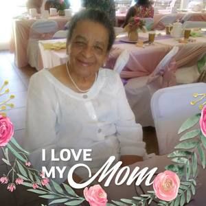 Meet your Posher, Bridgette